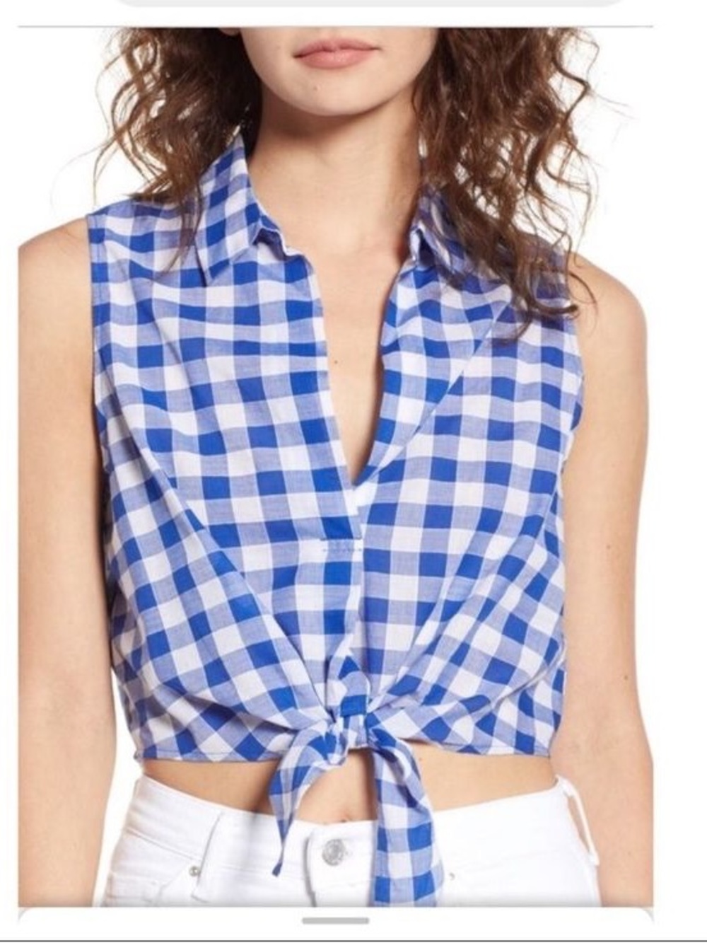 LUSH Sleeveless Blue Gingham Tie-Front Crop Top